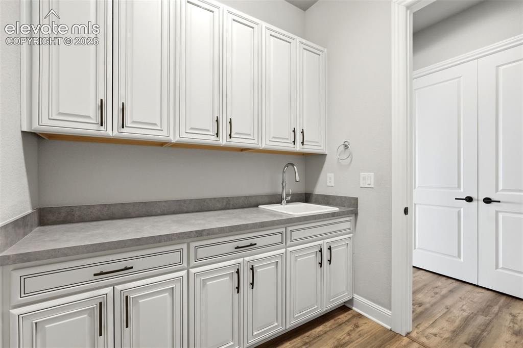 851 Alumroot Street Castle Rock CO 80104