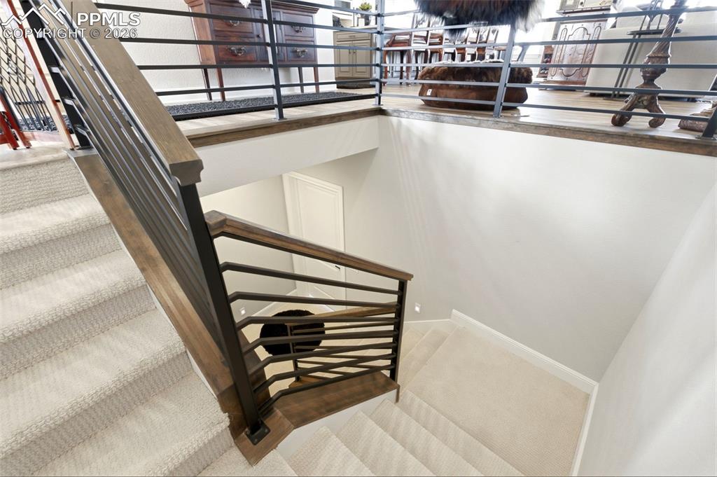 851 Alumroot Street Castle Rock CO 80104