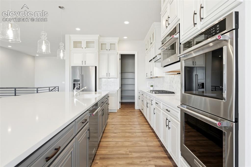 851 Alumroot Street Castle Rock CO 80104