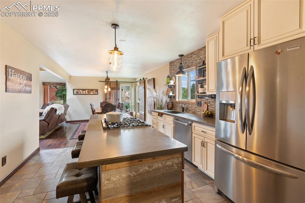 1860 Blackfoot Trail Woodland Park CO 80863