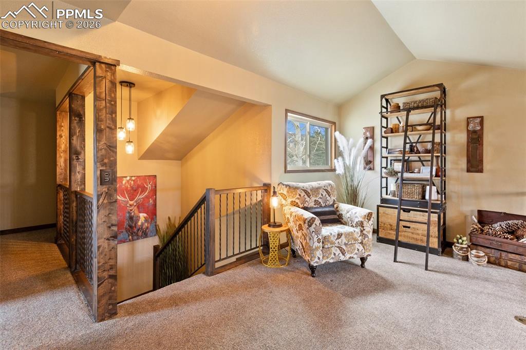 1860 Blackfoot Trail Woodland Park CO 80863