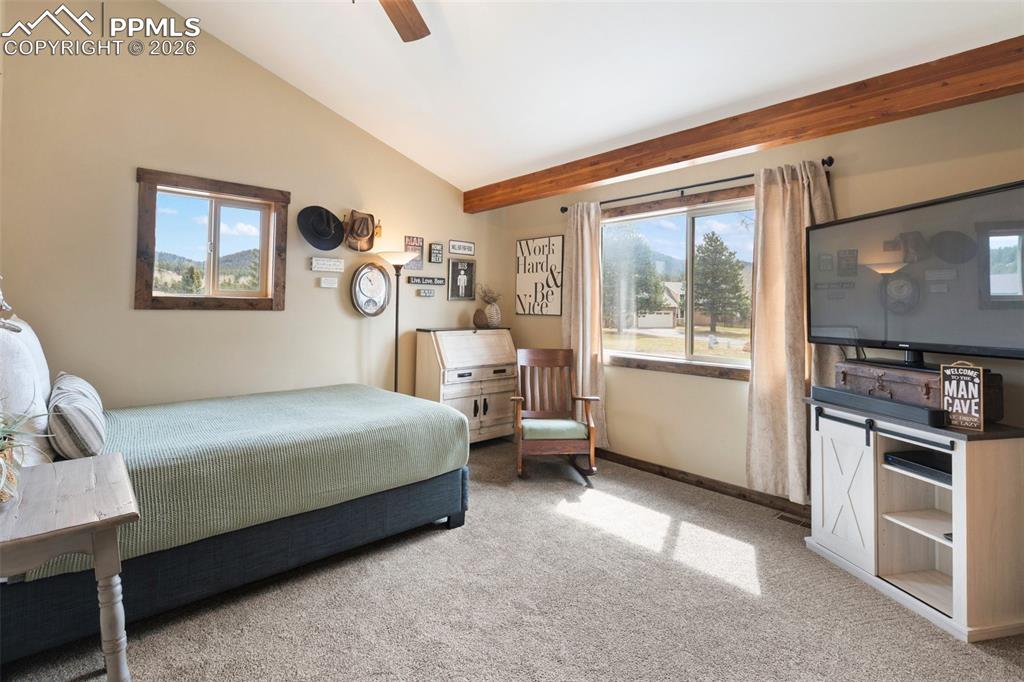 1860 Blackfoot Trail Woodland Park CO 80863