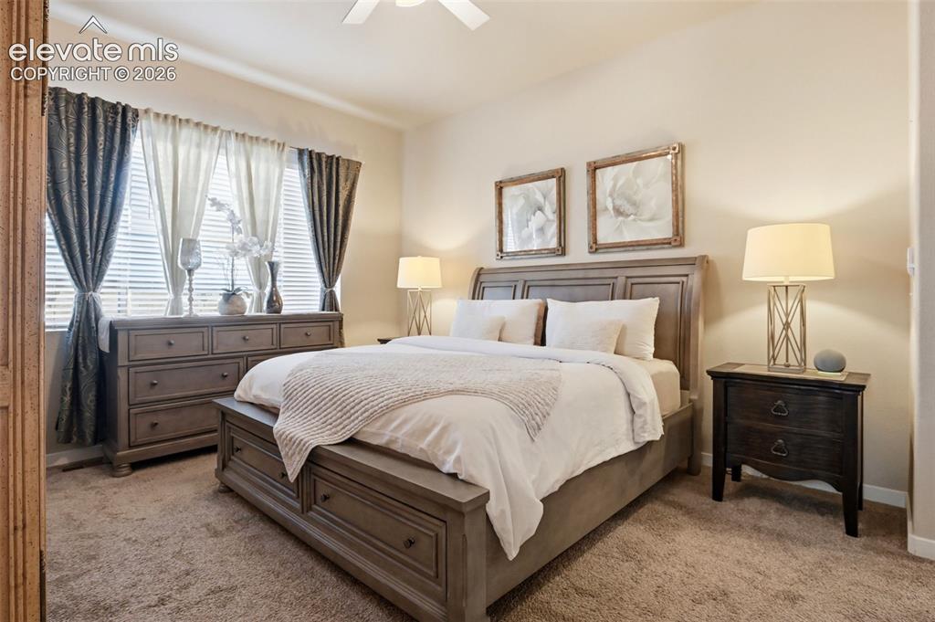 7095 Fauna Glen Drive Colorado Springs CO 80927