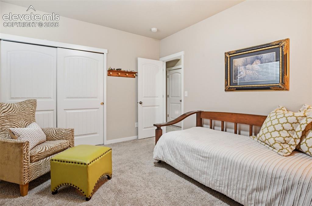 7095 Fauna Glen Drive Colorado Springs CO 80927