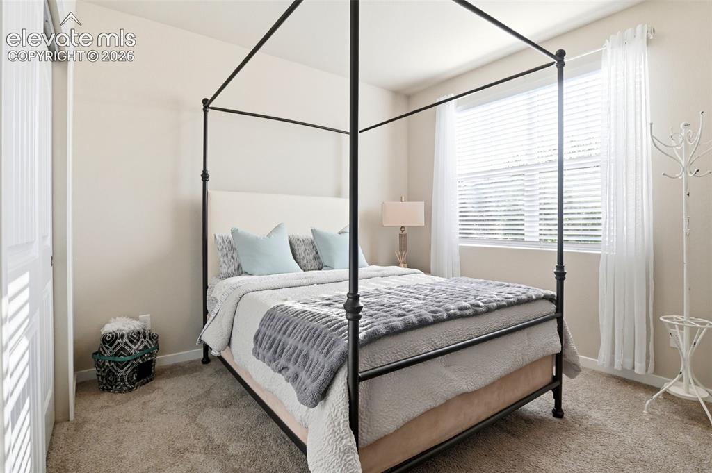 7095 Fauna Glen Drive Colorado Springs CO 80927
