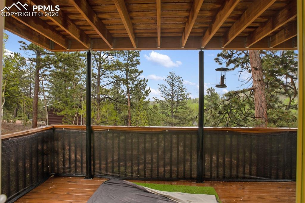 80 Potlatch Trail Woodland Park CO 80863