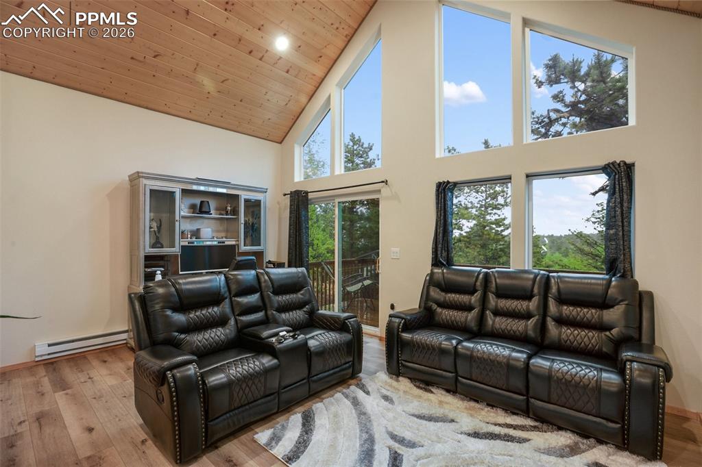 80 Potlatch Trail Woodland Park CO 80863