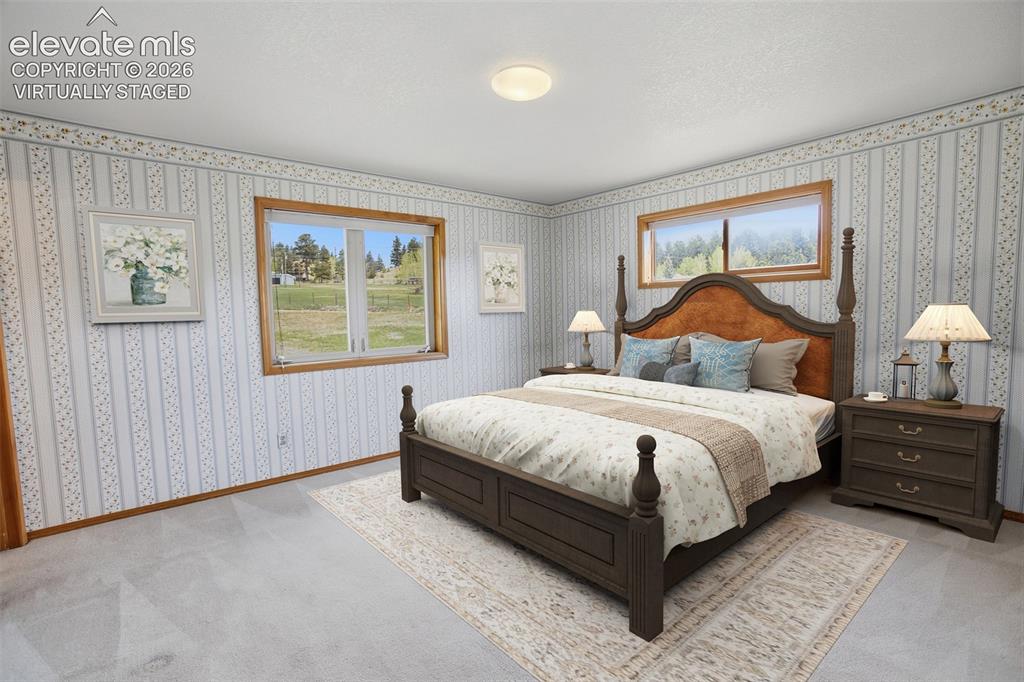 812 Red Eagle Court Woodland Park CO 80863