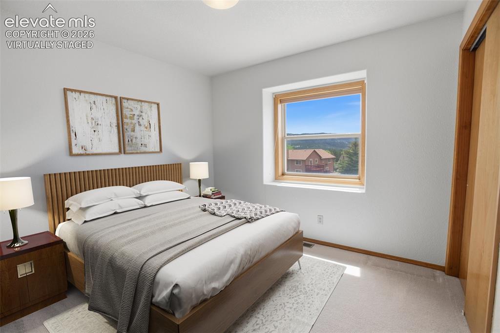 812 Red Eagle Court Woodland Park CO 80863