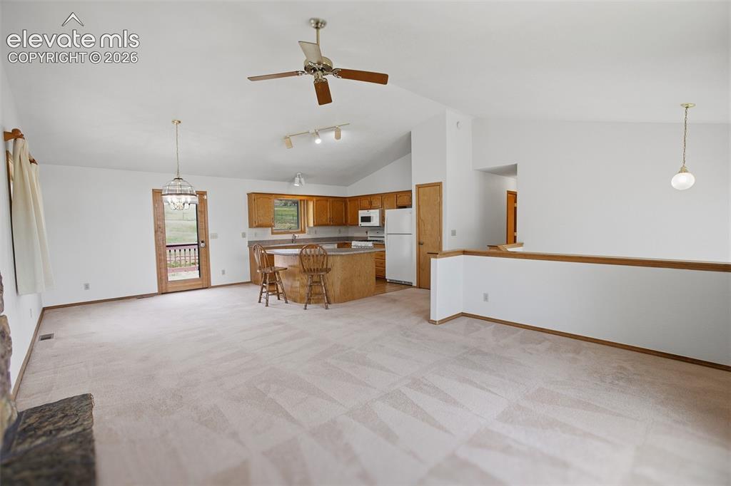 812 Red Eagle Court Woodland Park CO 80863