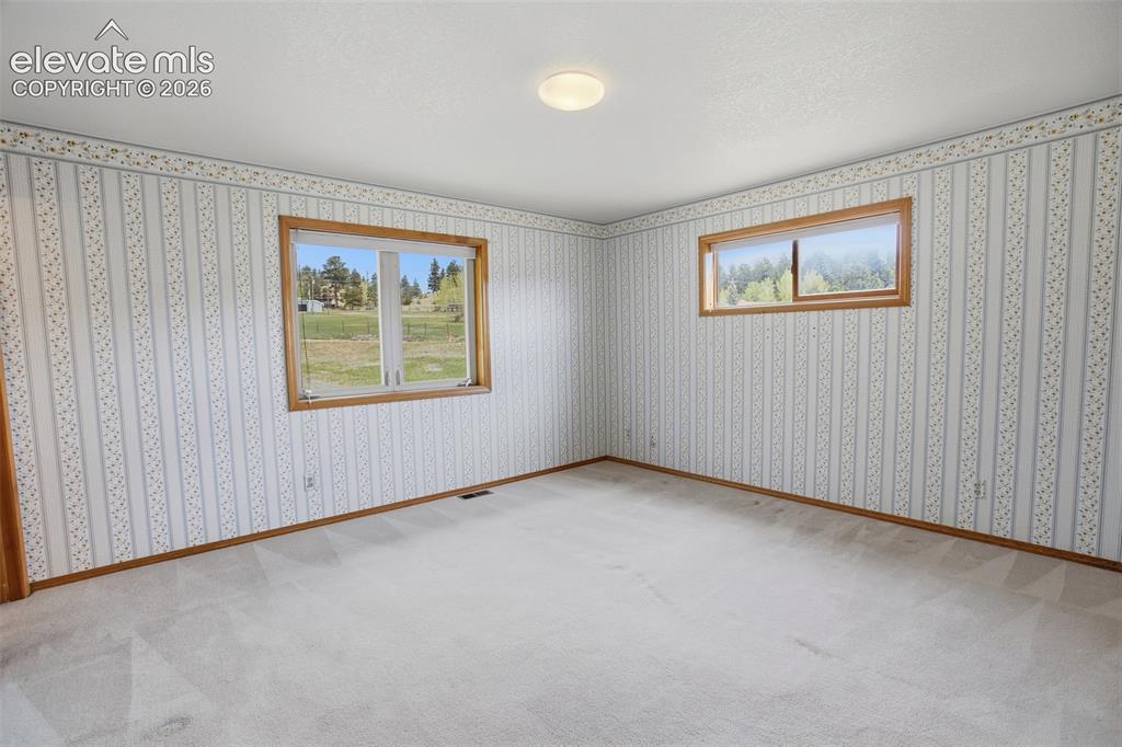 812 Red Eagle Court Woodland Park CO 80863