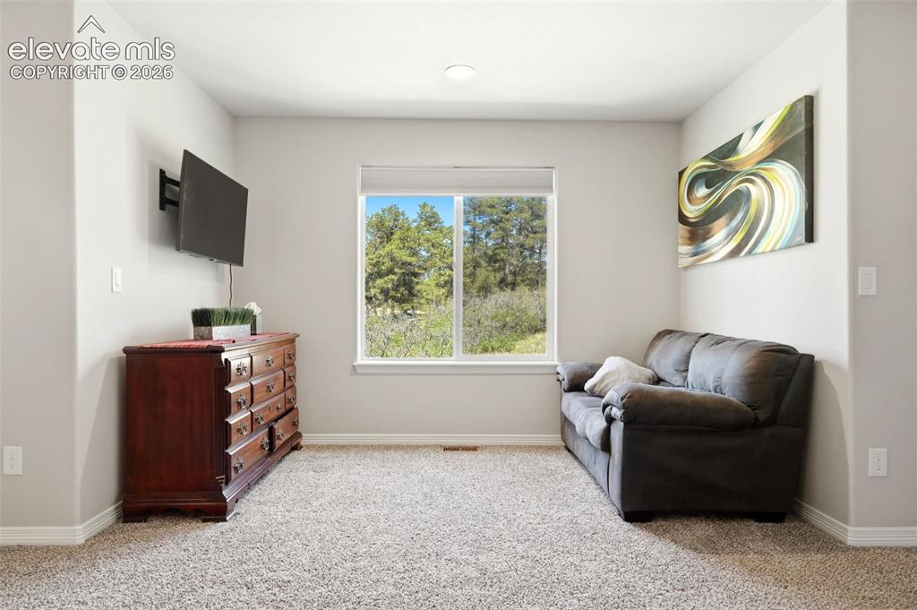 10446 Odin Drive Colorado Springs CO 80924