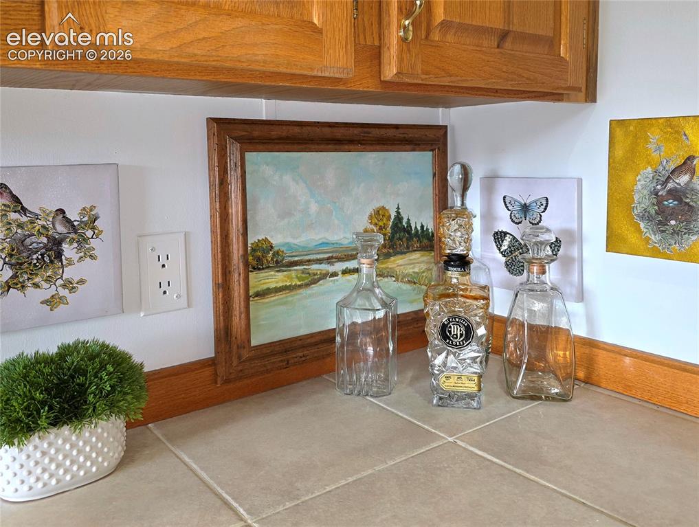 891 S Mountain Estates Road Florissant CO 80816