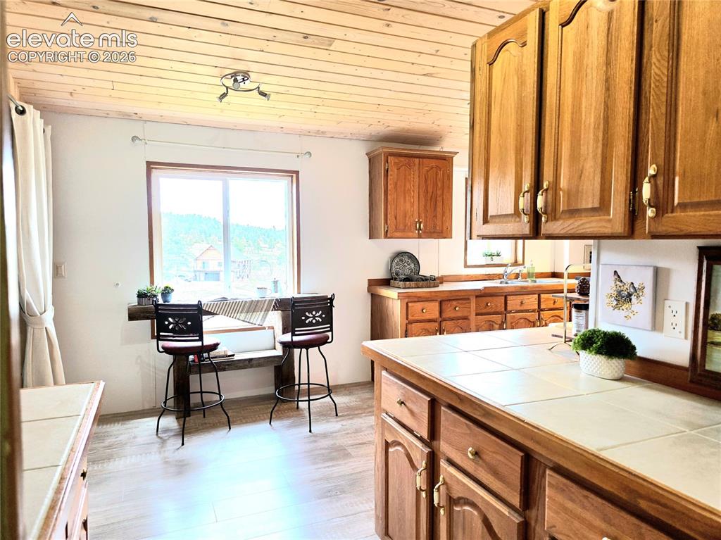 891 S Mountain Estates Road Florissant CO 80816