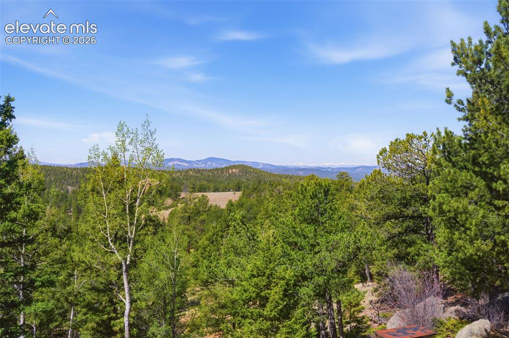 516 Saguache Drive Florissant CO 80816