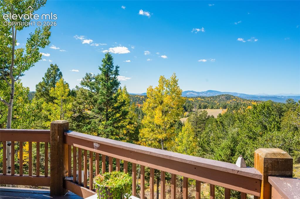 516 Saguache Drive Florissant CO 80816