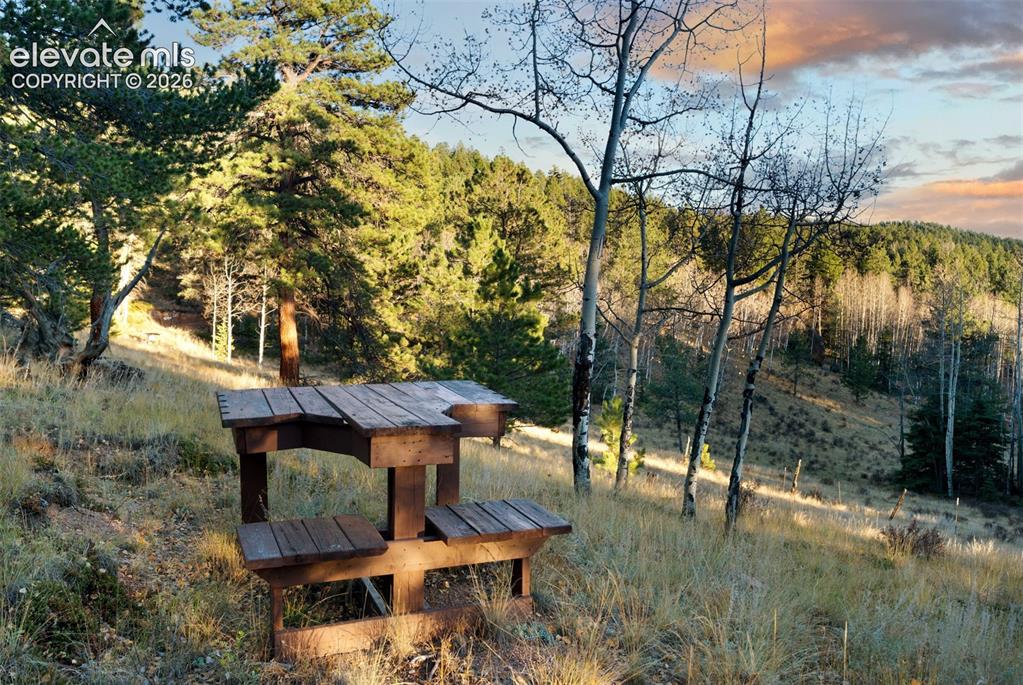 516 Saguache Drive Florissant CO 80816