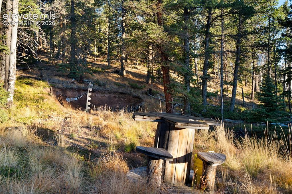 516 Saguache Drive Florissant CO 80816