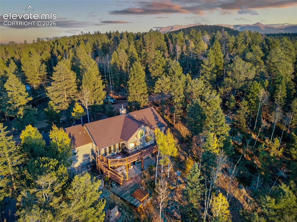 516 Saguache Drive Florissant CO 80816