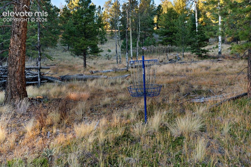 516 Saguache Drive Florissant CO 80816