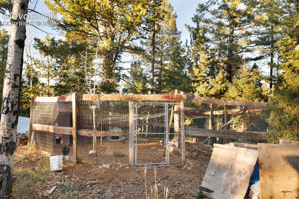 516 Saguache Drive Florissant CO 80816