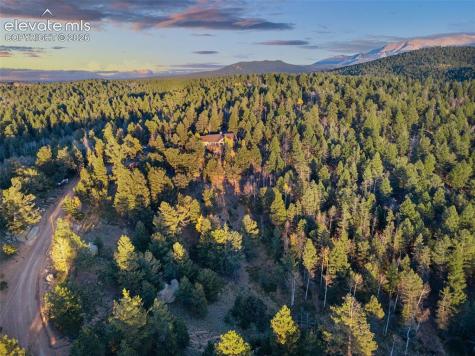 516 Saguache Drive Florissant CO 80816