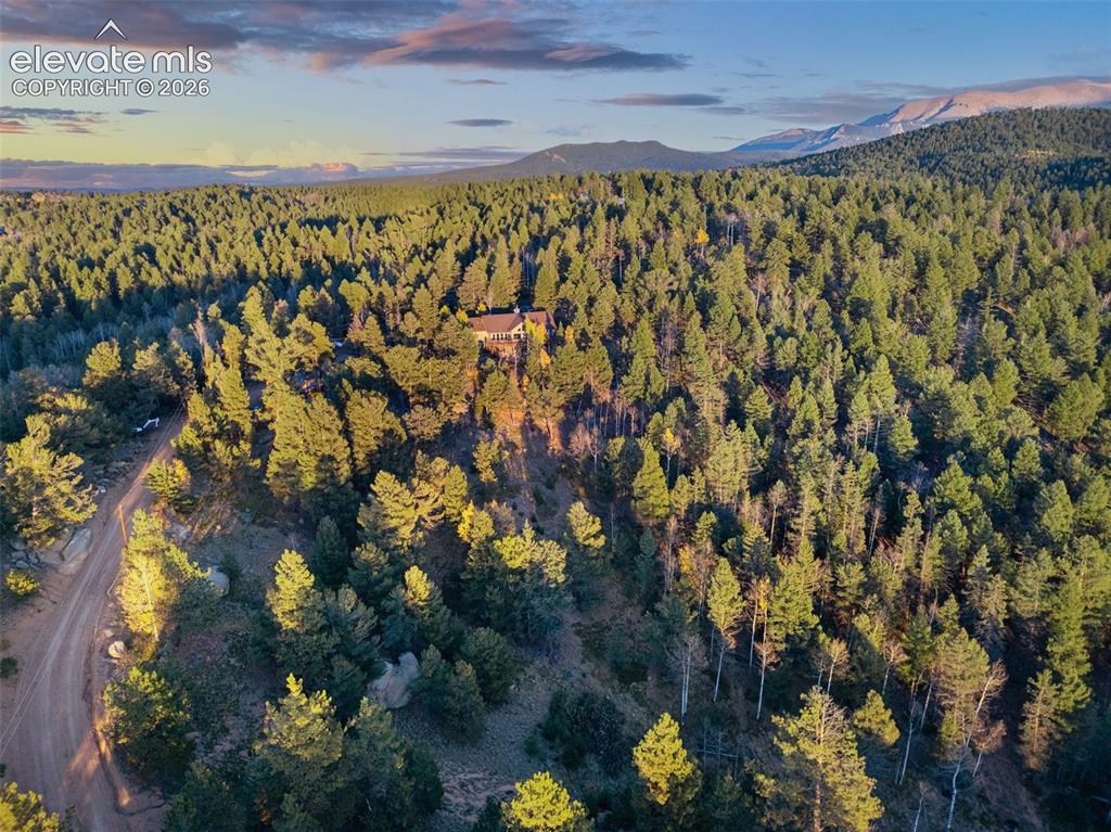 516 Saguache Drive Florissant CO 80816