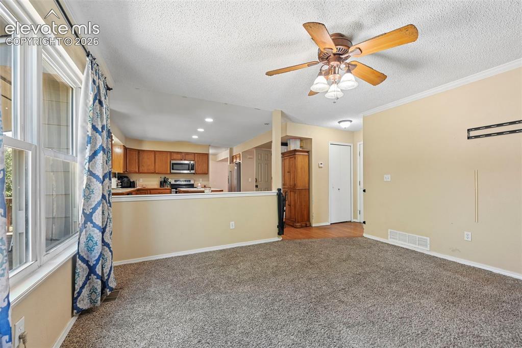 1420 Grass Valley Drive Colorado Springs CO 80906
