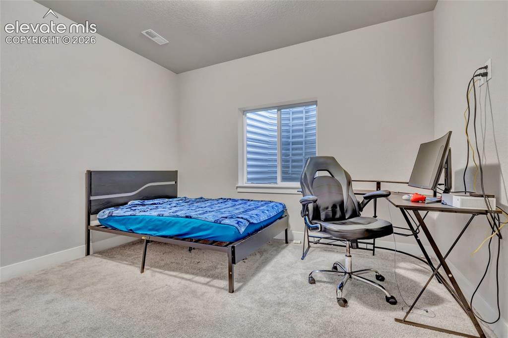2164 Coyote Mint Drive Monument CO 80132
