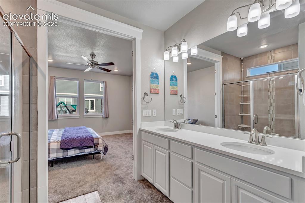 2164 Coyote Mint Drive Monument CO 80132