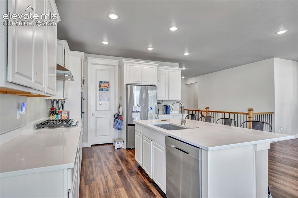 2164 Coyote Mint Drive Monument CO 80132