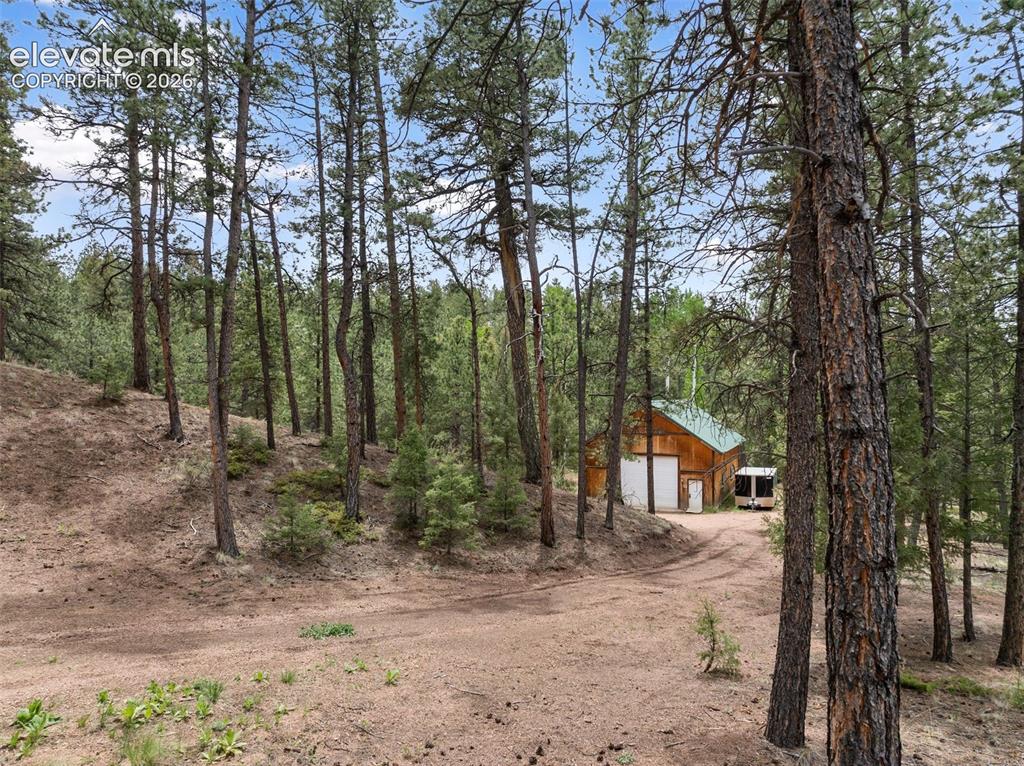 918 Douglas Fir Drive Woodland Park CO 80863