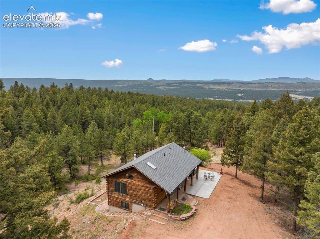 918 Douglas Fir Drive Woodland Park CO 80863