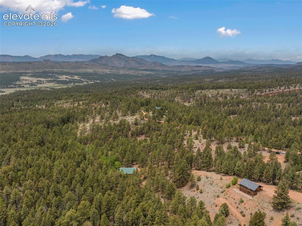 918 Douglas Fir Drive Woodland Park CO 80863