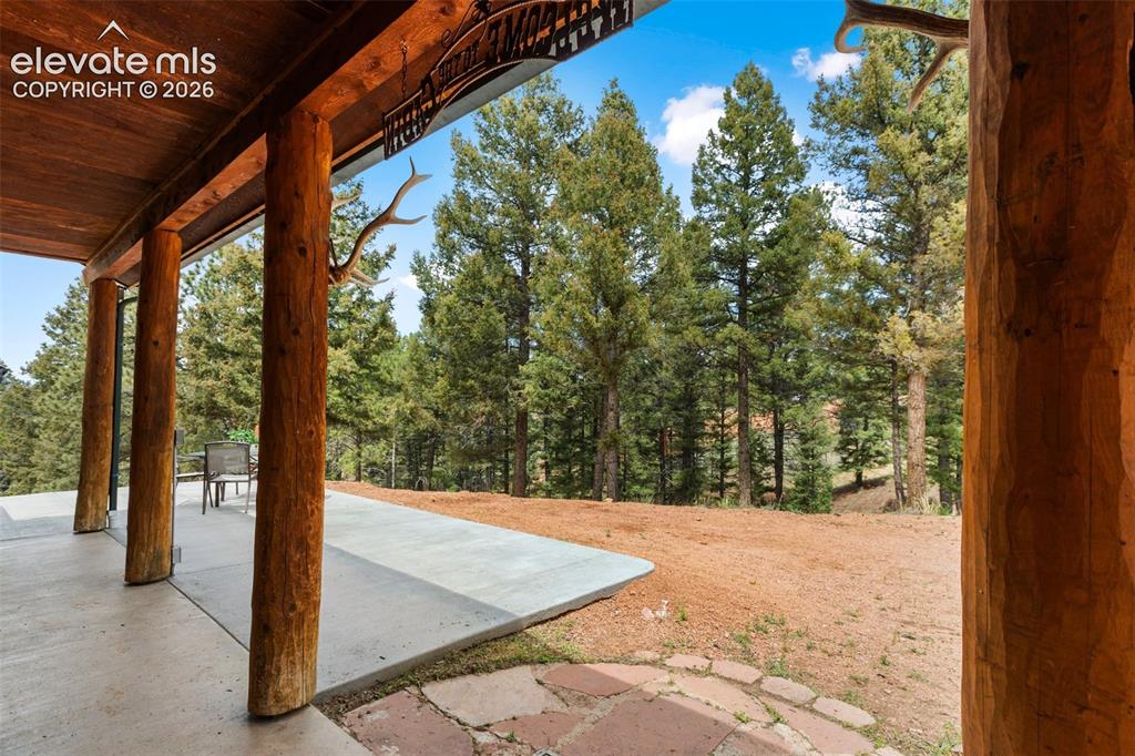 918 Douglas Fir Drive Woodland Park CO 80863