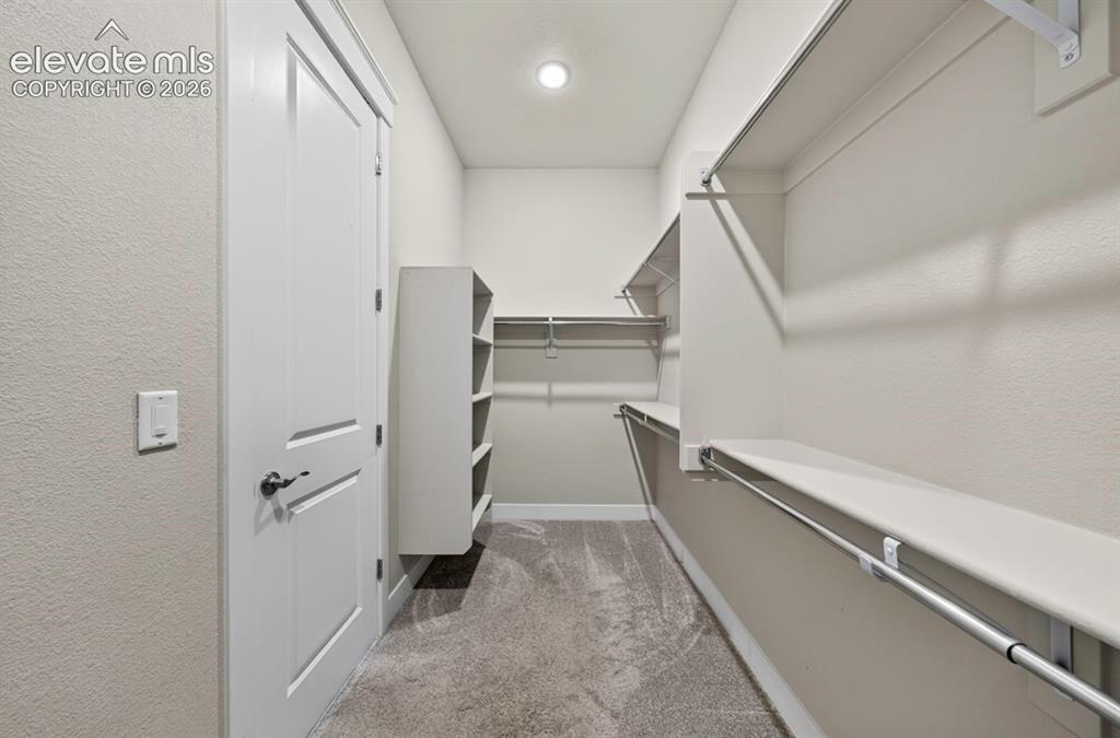5204 Sirbal Drive Colorado Springs CO 80924