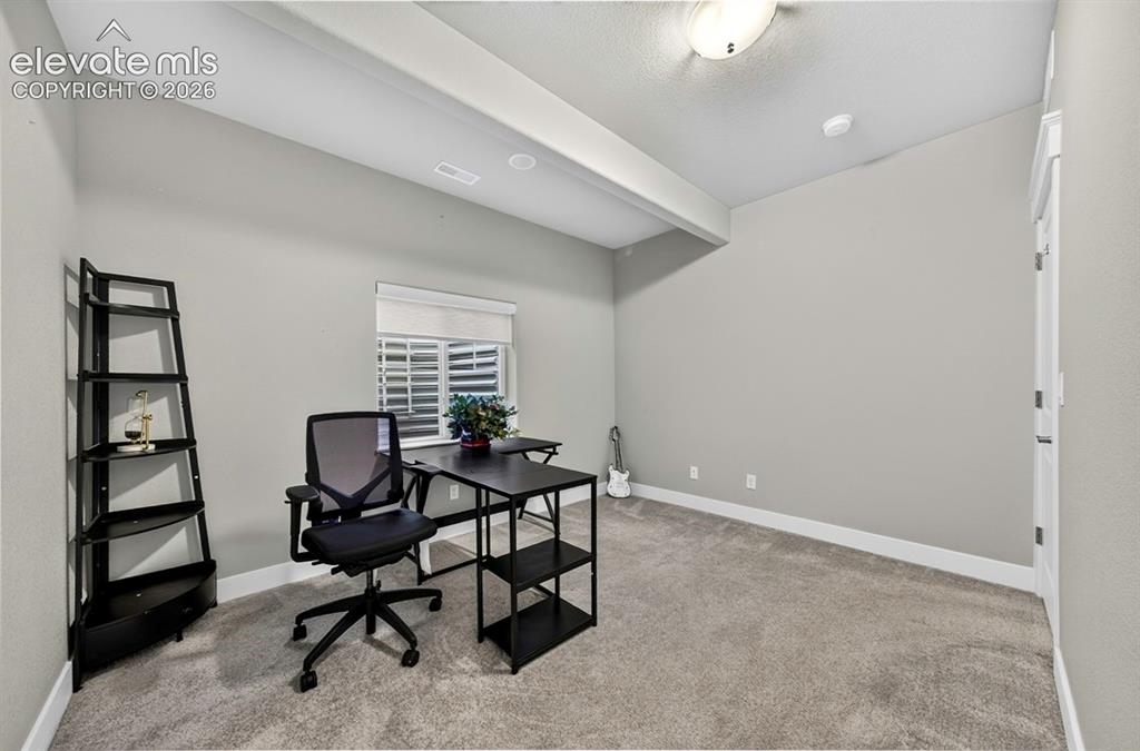 5204 Sirbal Drive Colorado Springs CO 80924