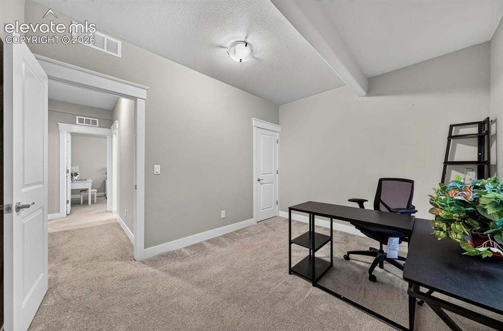 5204 Sirbal Drive Colorado Springs CO 80924