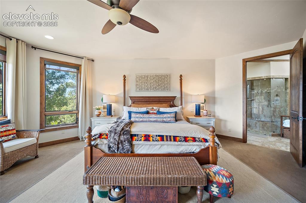 4267 County Road 51 Divide CO 80814