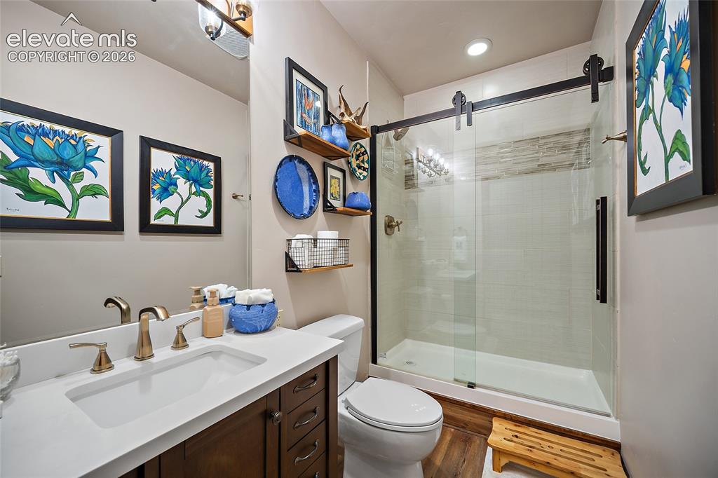 4267 County Road 51 Divide CO 80814