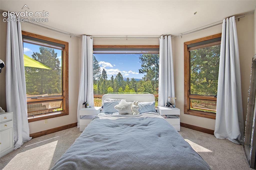4267 County Road 51 Divide CO 80814