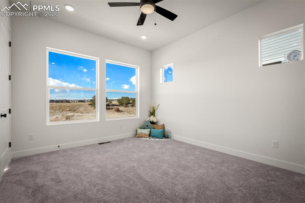 8990 Frolic View Colorado Springs CO 80924
