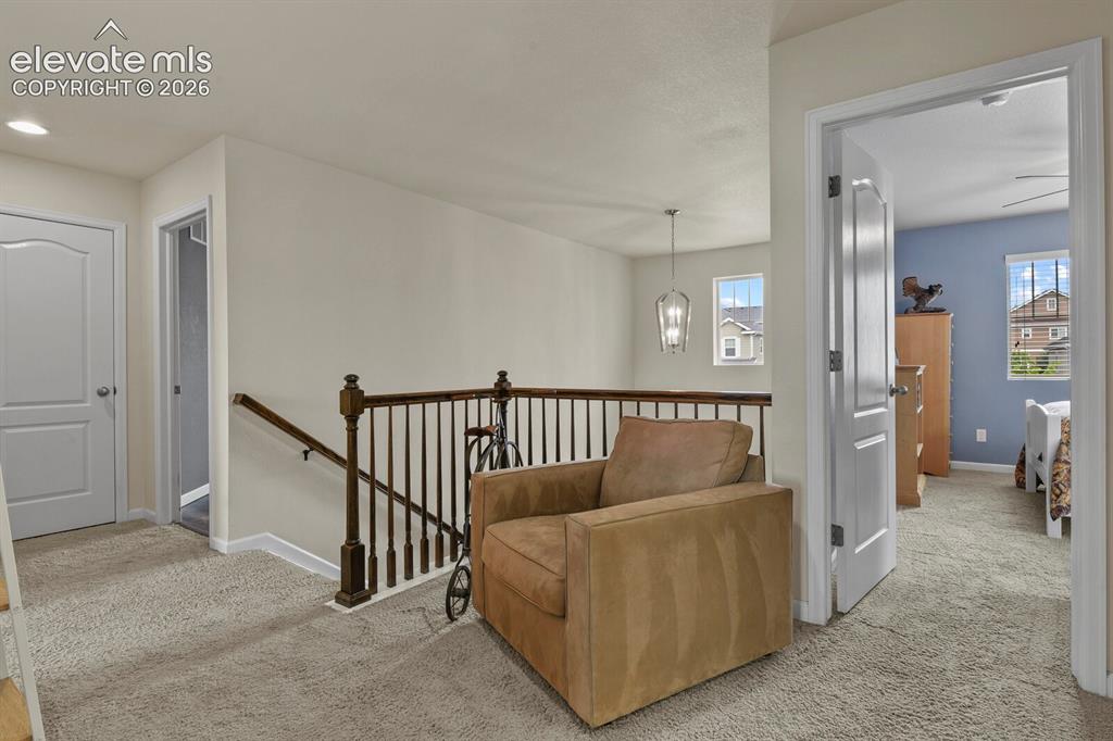 1398 Morningview Lane Castle Rock CO 80109