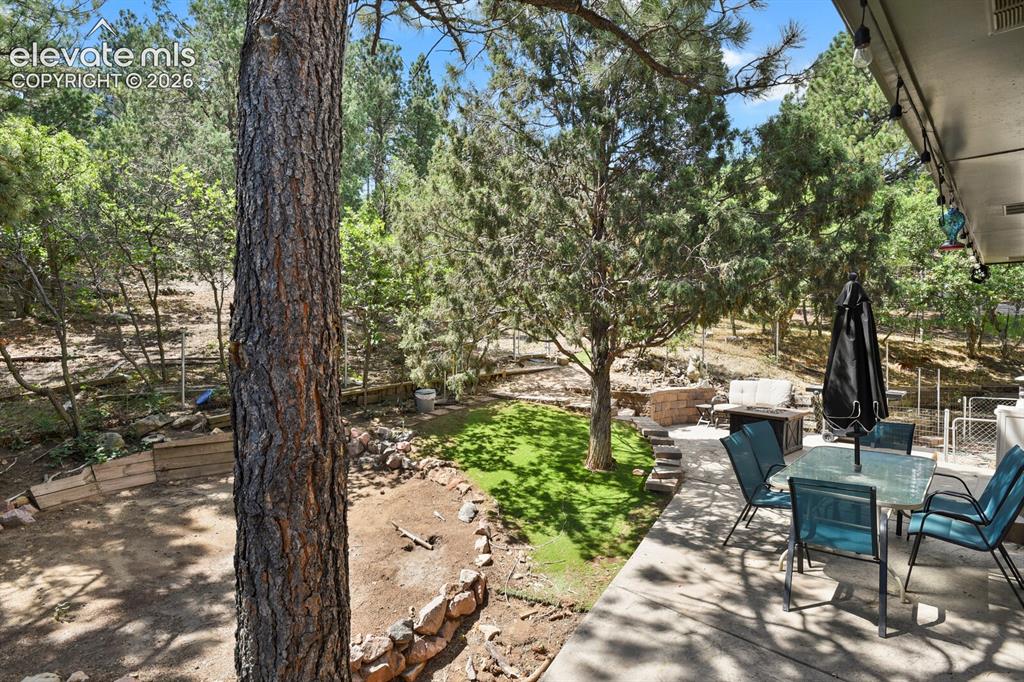 5325 Autumn Hills Court Colorado Springs CO 80919