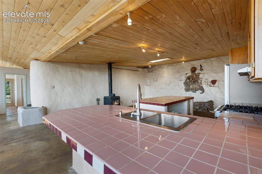 523 Navajo Trail Florissant CO 80816