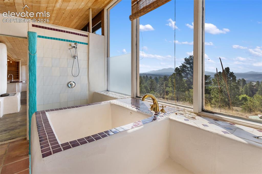 523 Navajo Trail Florissant CO 80816