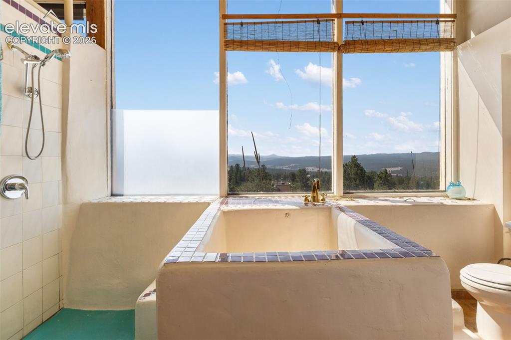 523 Navajo Trail Florissant CO 80816