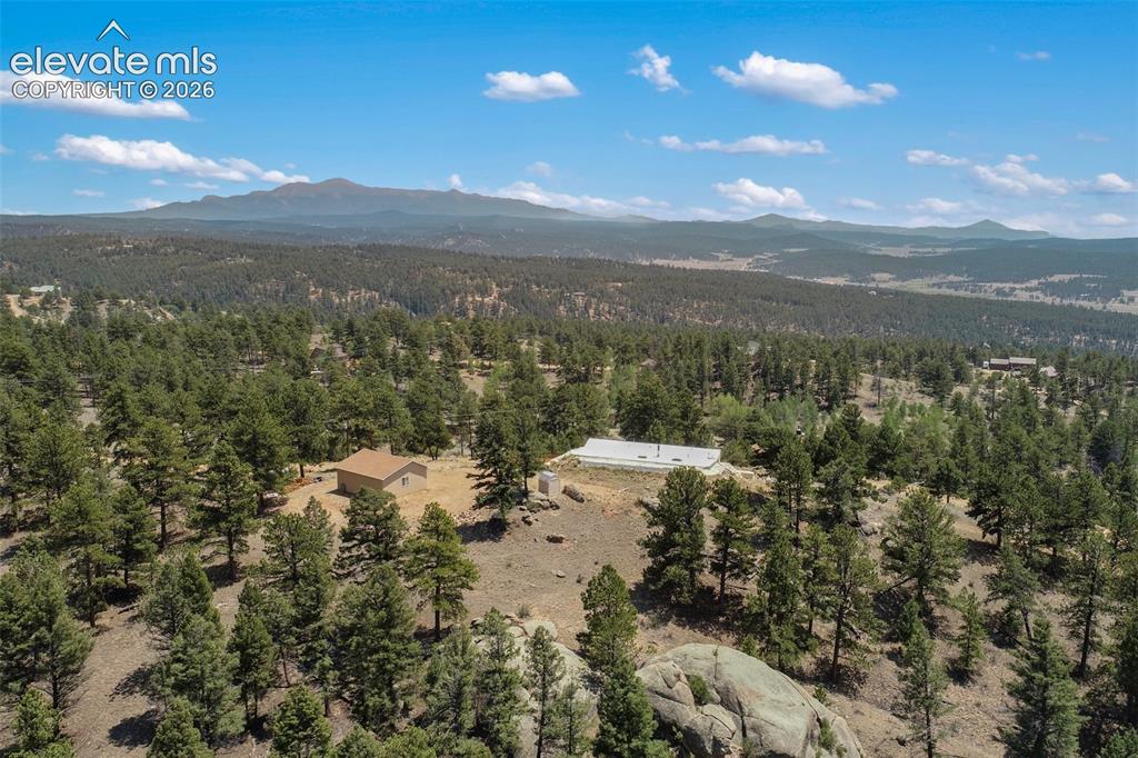 523 Navajo Trail Florissant CO 80816