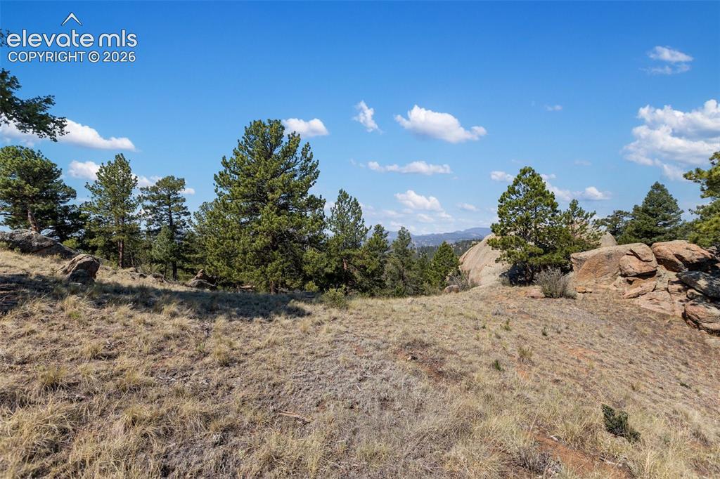 523 Navajo Trail Florissant CO 80816