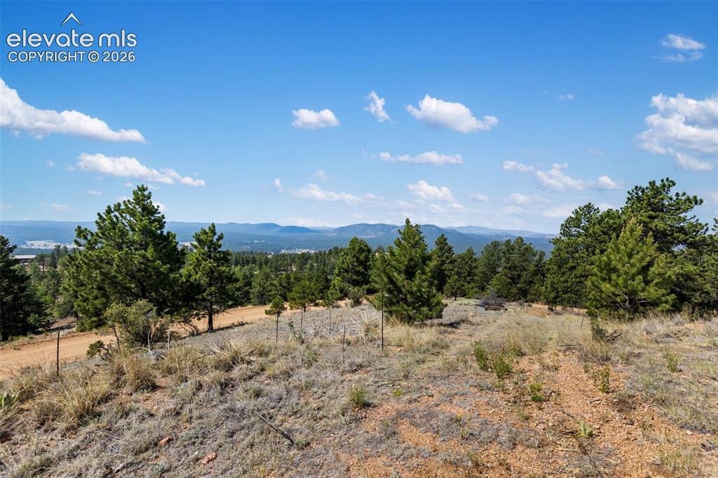 523 Navajo Trail Florissant CO 80816
